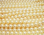 Collar de perla Akoya Golden esférica